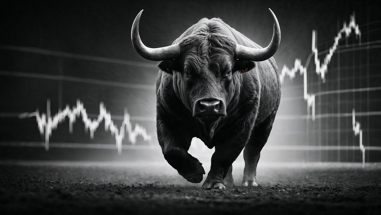 Bull Market Background